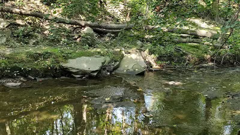 Big Creek Reservation - Brooklyn, OH
