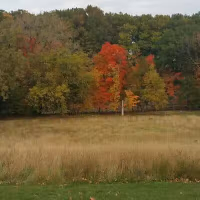 Big Creek Reservation - Brooklyn, OH