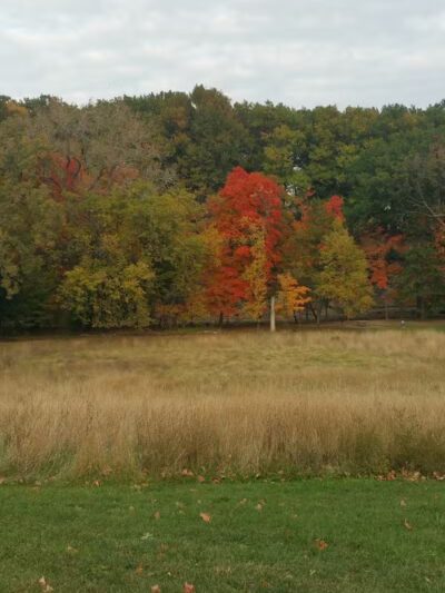 Big Creek Reservation - Brooklyn, OH