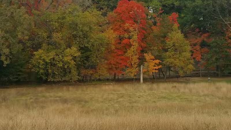 Big Creek Reservation - Brooklyn, OH