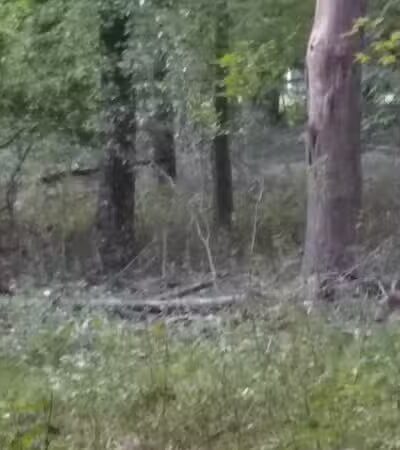 Marquardt Park - Brooklyn, OH