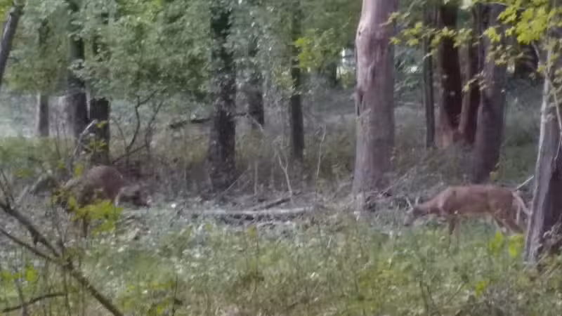 Marquardt Park - Brooklyn, OH