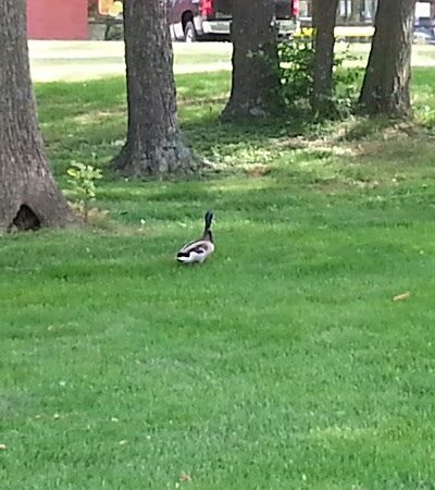 Gateway Park - Brookville, OH