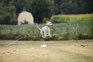 K9 Splash Zone - Brookville, OH