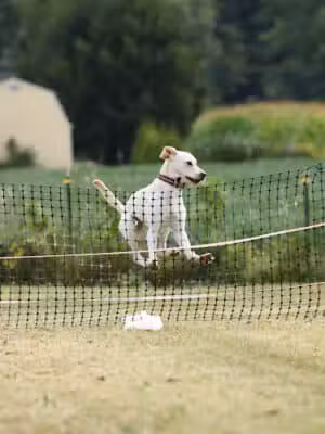 K9 Splash Zone - Brookville, OH