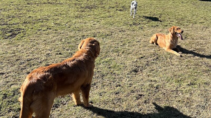 Brunswick Dog Park - Brunswick, OH