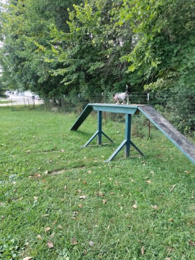 Brunswick Dog Park - Brunswick, OH