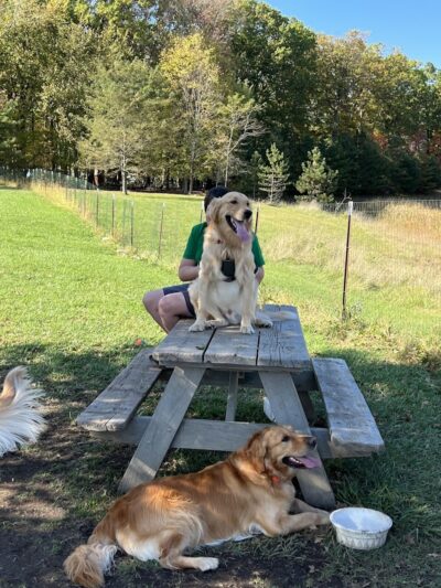 Brunswick Dog Park - Brunswick, OH