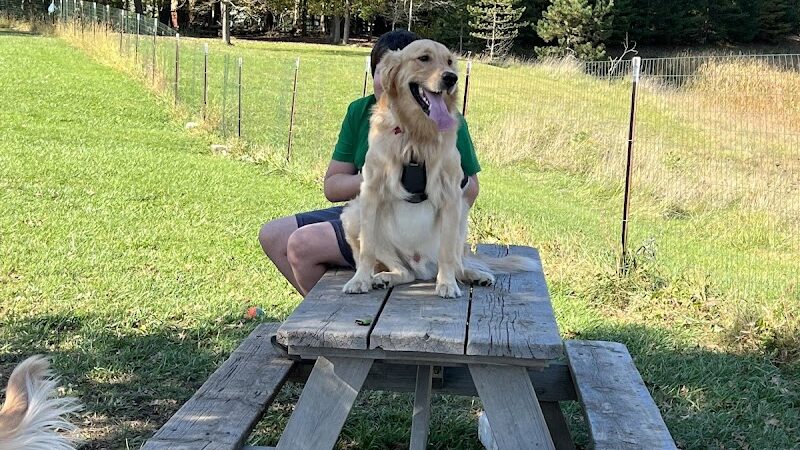 Brunswick Dog Park - Brunswick, OH