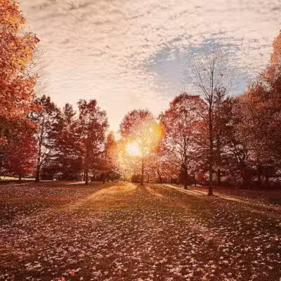 Garver Park - Bryan, OH