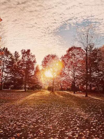 Garver Park - Bryan, OH