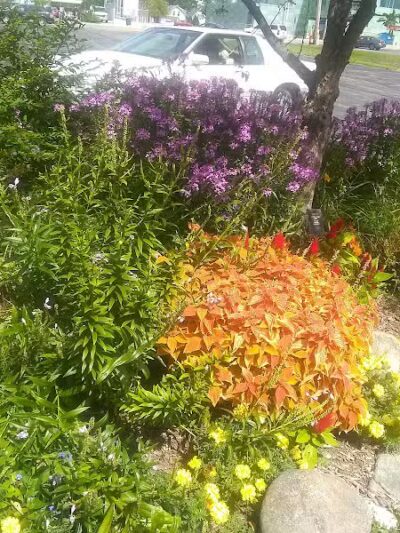 Garver Park - Bryan, OH