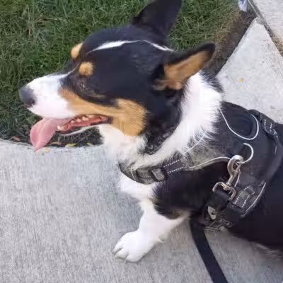 Bucyrus Schines Art Park - Bucyrus, OH