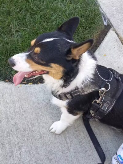 Bucyrus Schines Art Park - Bucyrus, OH