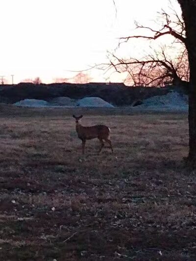 Unger Park - Bucyrus, OH