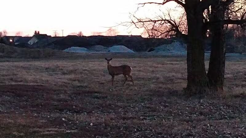Unger Park - Bucyrus, OH