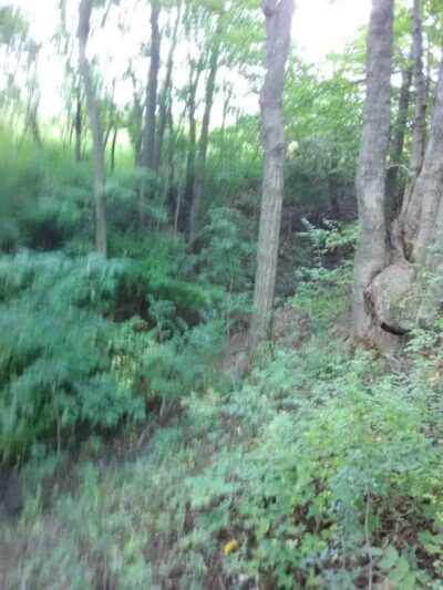 Unger Park - Bucyrus, OH
