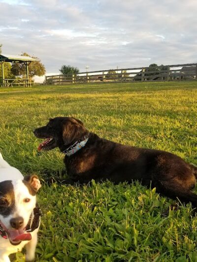Boone County Dog Park - Burlington, KY