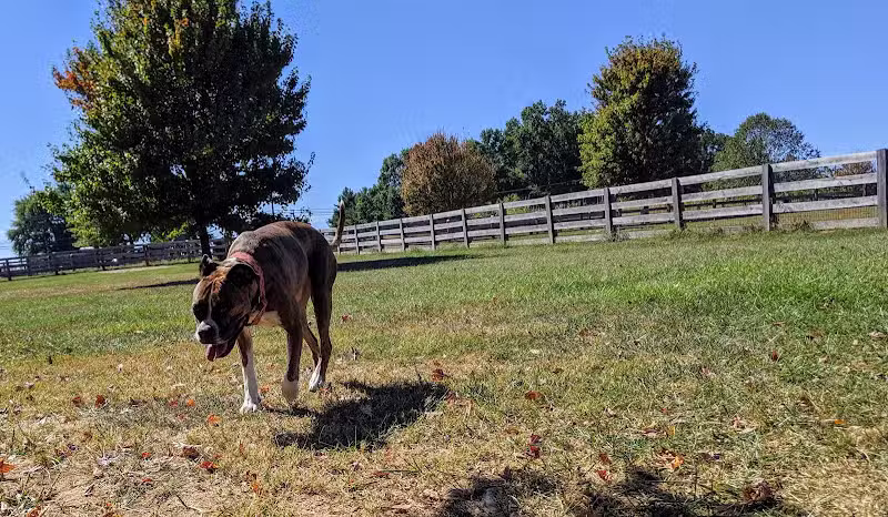 Boone County Dog Park - Burlington, KY