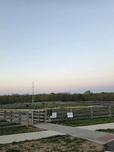 Idlewild Dog Park - Burlington, KY