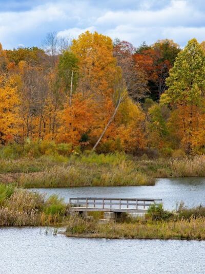 Blue Heron Preserve - Burton, OH