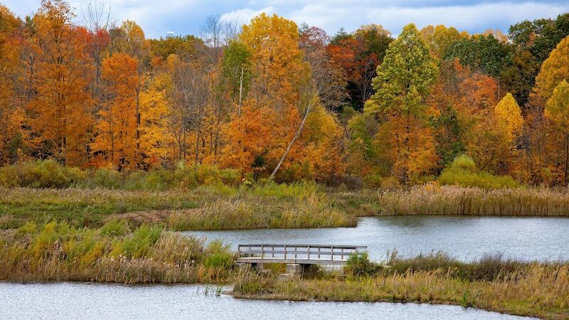 Blue Heron Preserve - Burton, OH