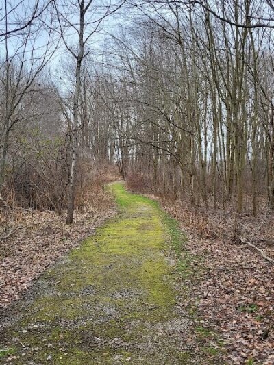 Burton Wetlands Nature Preserve - Burton, OH