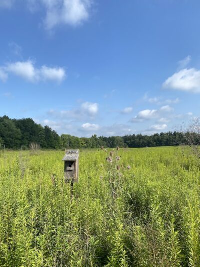 Burton Wetlands Nature Preserve - Burton, OH