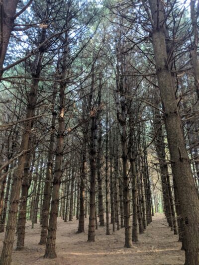 Eldon Russell Park - Burton, OH