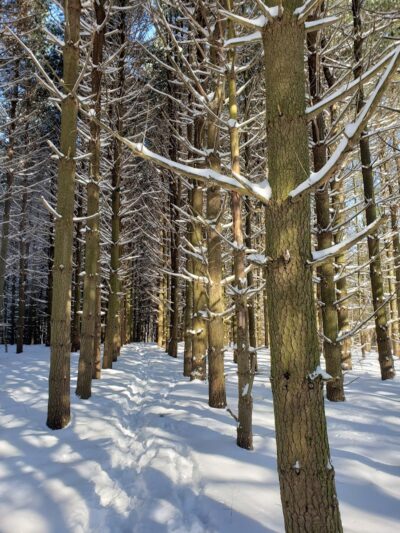 Eldon Russell Park - Burton, OH