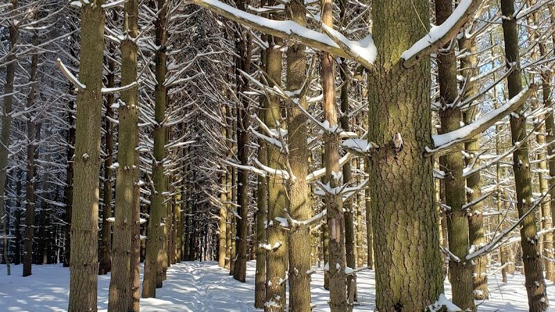 Eldon Russell Park - Burton, OH