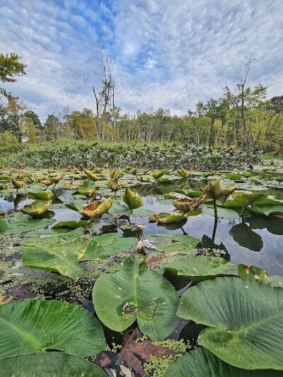 Eldon Russell Park - Burton, OH