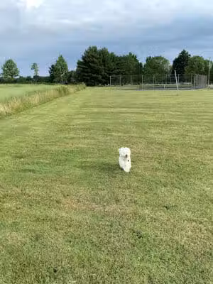 Overlook Park - Burton, OH