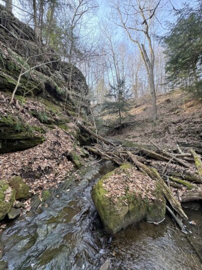Welton's Gorge Preserve - Burton, OH