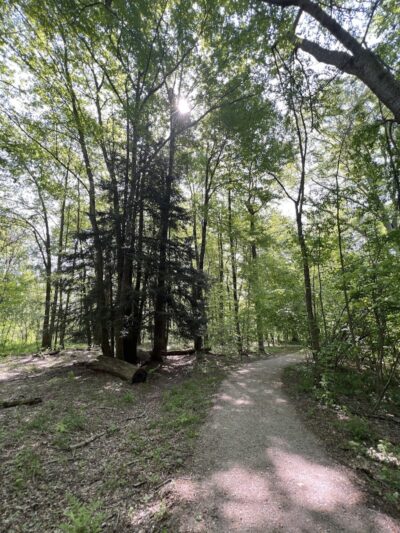 Welton's Gorge Preserve - Burton, OH