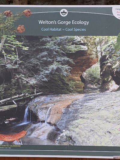 Welton's Gorge Preserve - Burton, OH