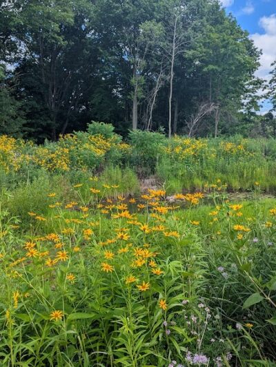Welton's Gorge Preserve - Burton, OH