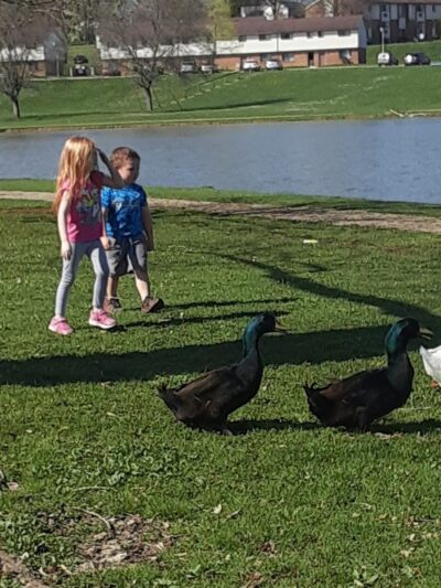 Jackson Park - Byesville, OH