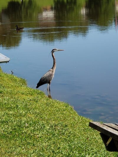 Jackson Park - Byesville, OH