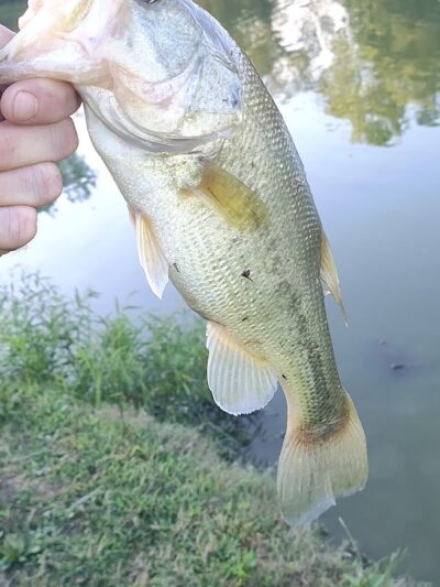 Jackson Park - Byesville, OH