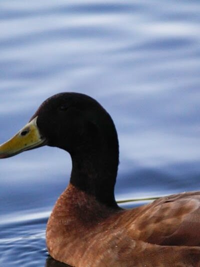 Jackson Park - Byesville, OH