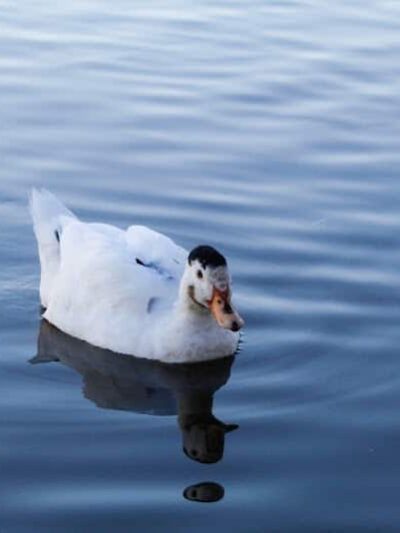 Jackson Park - Byesville, OH