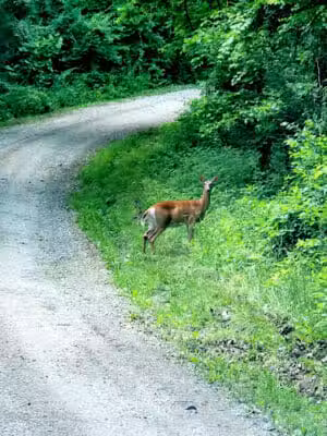 Caldwell Lake - Caldwell, OH