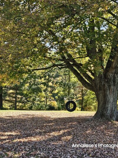 Caldwell Lake - Caldwell, OH