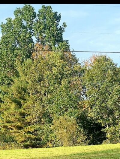 Caldwell Lake - Caldwell, OH