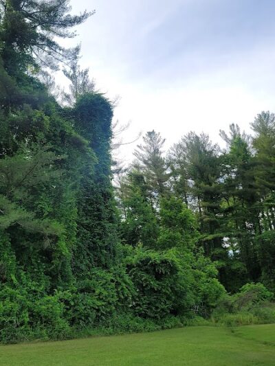 Caldwell Lake - Caldwell, OH