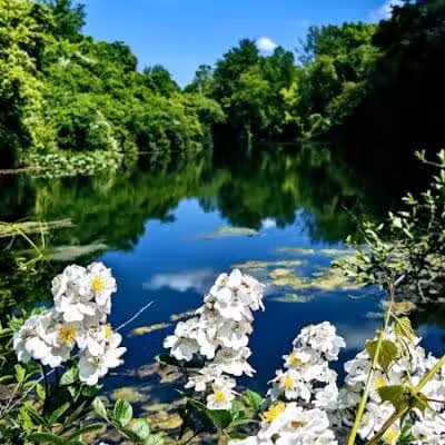Coal Ridge Park & Trail - Cambridge, OH