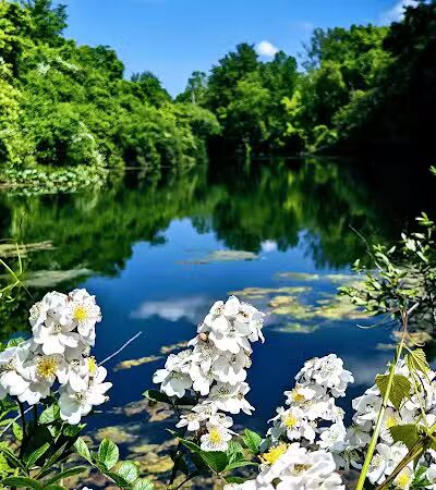 Coal Ridge Park & Trail - Cambridge, OH