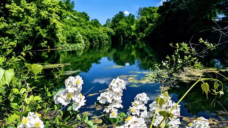 Coal Ridge Park & Trail - Cambridge, OH