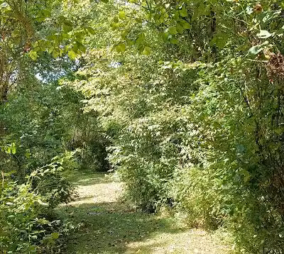 Coal Ridge Park & Trail - Cambridge, OH